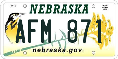 NE license plate AFM871