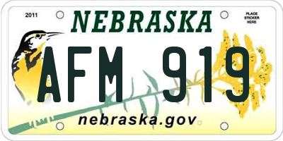 NE license plate AFM919