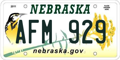 NE license plate AFM929