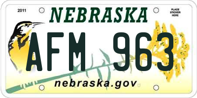 NE license plate AFM963