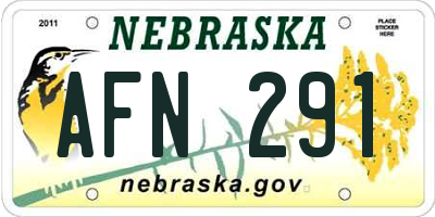 NE license plate AFN291