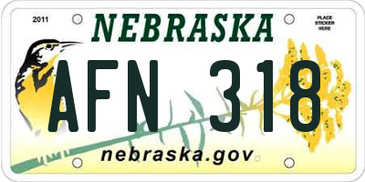 NE license plate AFN318