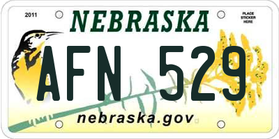 NE license plate AFN529
