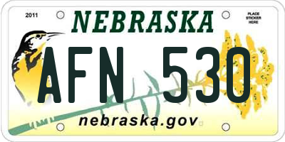 NE license plate AFN530