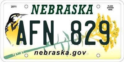 NE license plate AFN829