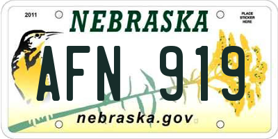 NE license plate AFN919