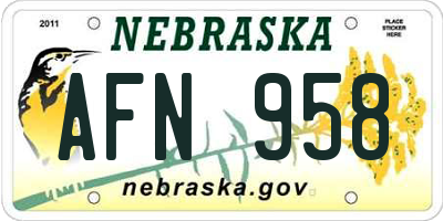 NE license plate AFN958