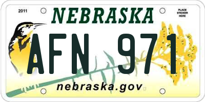 NE license plate AFN971