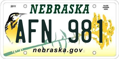 NE license plate AFN981