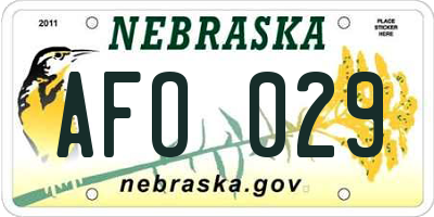 NE license plate AFO029
