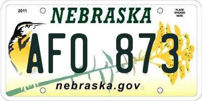 NE license plate AFO873