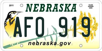 NE license plate AFO919
