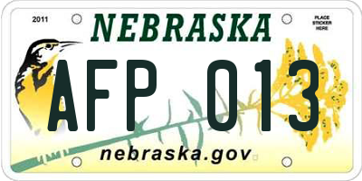 NE license plate AFP013