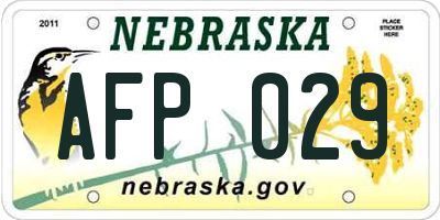NE license plate AFP029