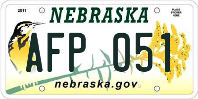 NE license plate AFP051