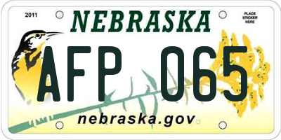 NE license plate AFP065