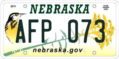 NE license plate AFP073