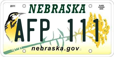 NE license plate AFP111