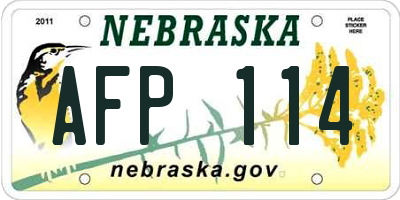 NE license plate AFP114