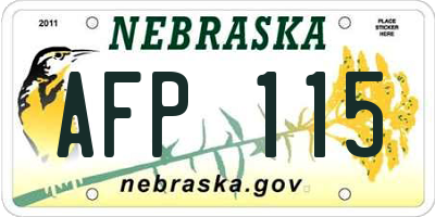 NE license plate AFP115