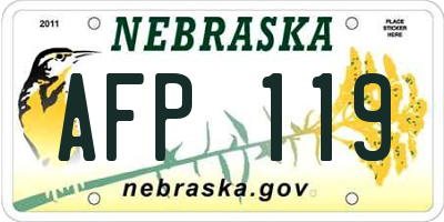 NE license plate AFP119