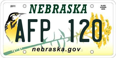 NE license plate AFP120