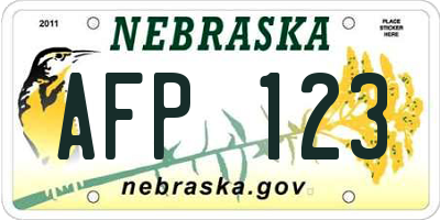 NE license plate AFP123