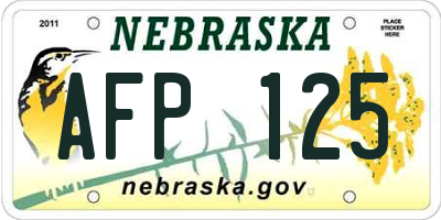 NE license plate AFP125