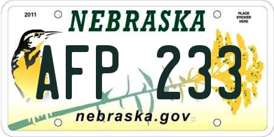 NE license plate AFP233