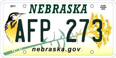 NE license plate AFP273