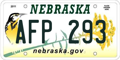NE license plate AFP293