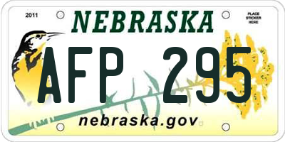 NE license plate AFP295