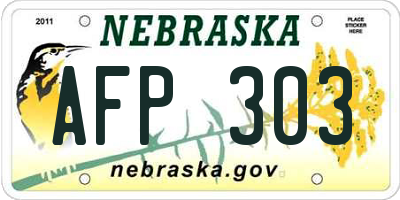 NE license plate AFP303