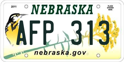 NE license plate AFP313
