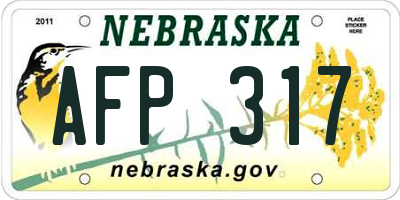 NE license plate AFP317
