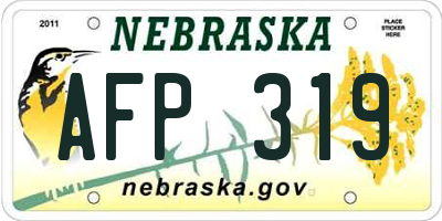 NE license plate AFP319