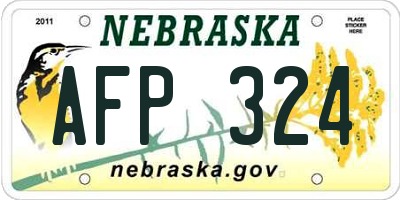 NE license plate AFP324