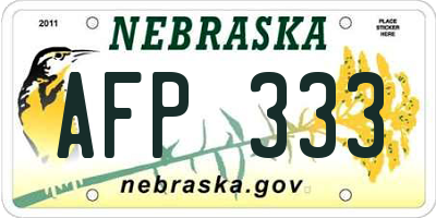 NE license plate AFP333