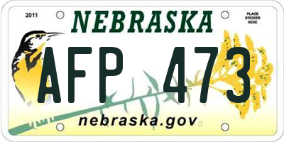 NE license plate AFP473