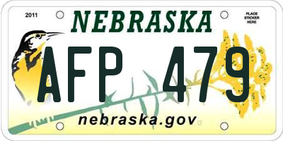 NE license plate AFP479