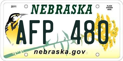 NE license plate AFP480
