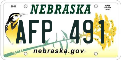 NE license plate AFP491