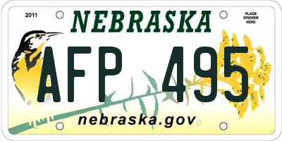 NE license plate AFP495