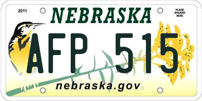 NE license plate AFP515
