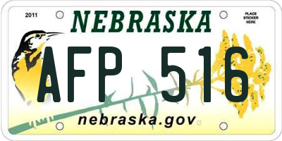 NE license plate AFP516