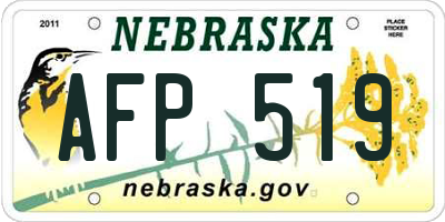 NE license plate AFP519
