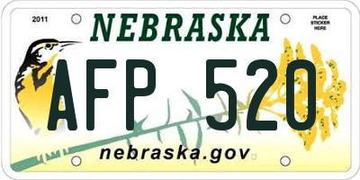 NE license plate AFP520