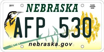 NE license plate AFP530