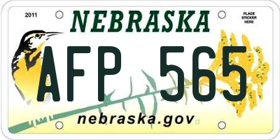 NE license plate AFP565