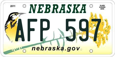 NE license plate AFP597
